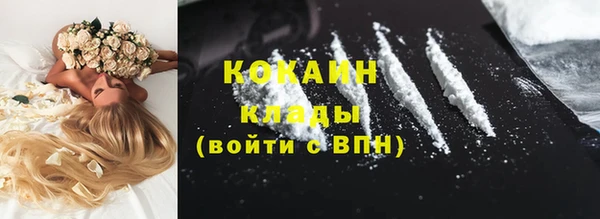 дмт Переславль-Залесский