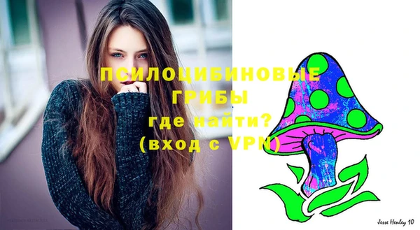 ешки Алзамай