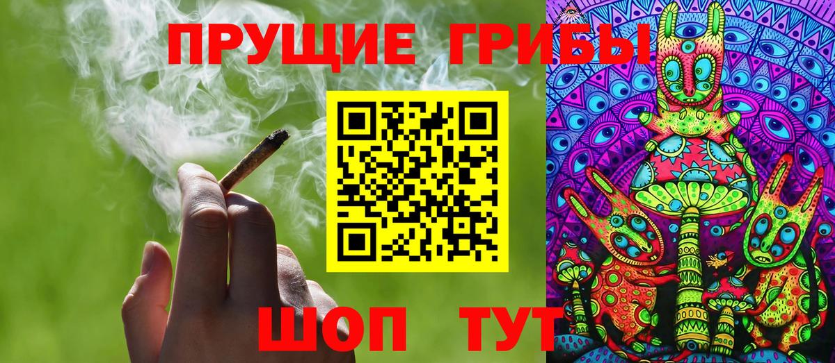 Галлюциногенные грибы MAGIC MUSHROOMS  Вход с VPN  где продают   Сосновоборск 